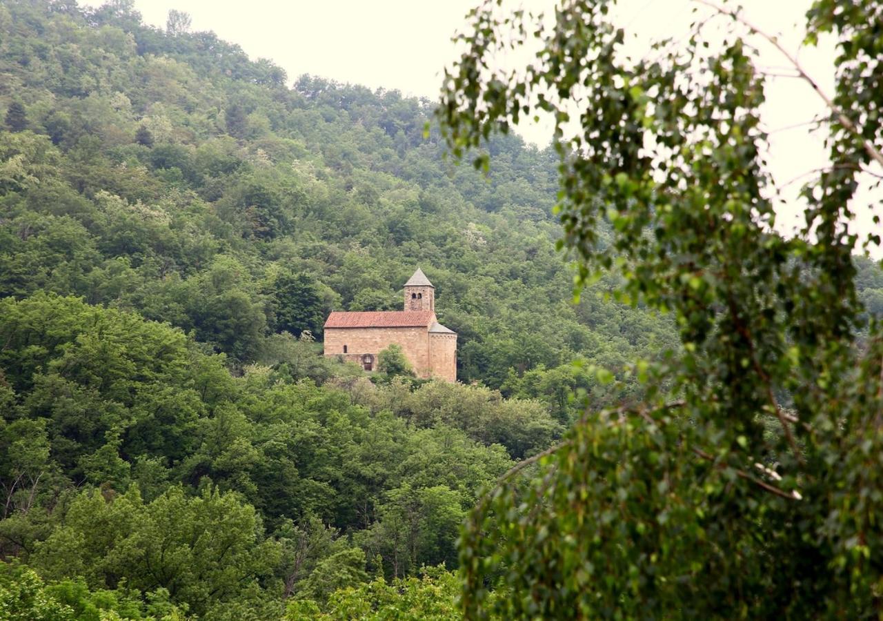 Beau Vallon - Gite Et Chambres D'Hotes Pyrenees-Mediterranee - Pays Catalan Sahorre ภายนอก รูปภาพ