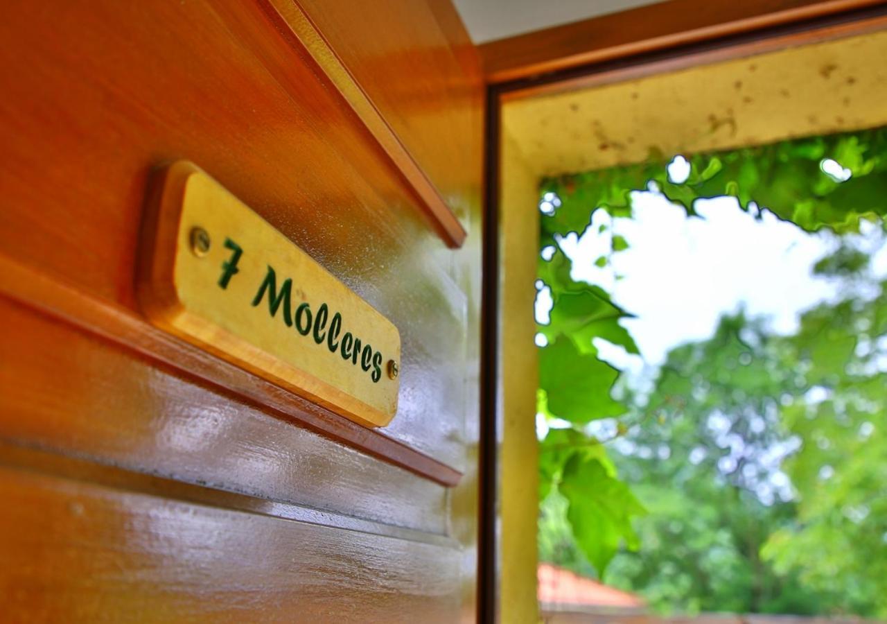 Beau Vallon - Gite Et Chambres D'Hotes Pyrenees-Mediterranee - Pays Catalan Sahorre ภายนอก รูปภาพ
